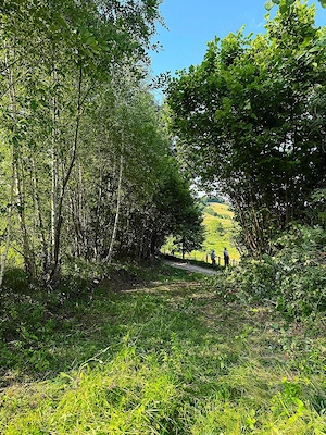 Teren cu PUZ, 11600mp, Brașov Poiana Mărului, pe ruta via Transilvanica - imagine 6