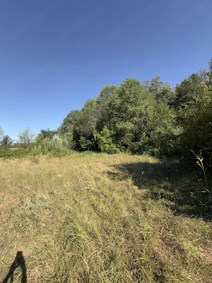Vând teren extravilan potrivit pentru cabana, arabil, langa vale cu fantana, aproape de sosea - imagine 9