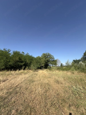 Vând teren extravilan potrivit pentru cabana, arabil, langa vale cu fantana, aproape de sosea - imagine 3