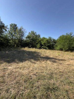 Vând teren extravilan potrivit pentru cabana, arabil, langa vale cu fantana, aproape de sosea - imagine 6