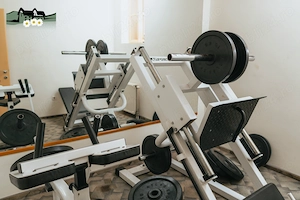 Cazare & wellness in Harghita, Praid - Pensiunea PRAID*** - imagine 5