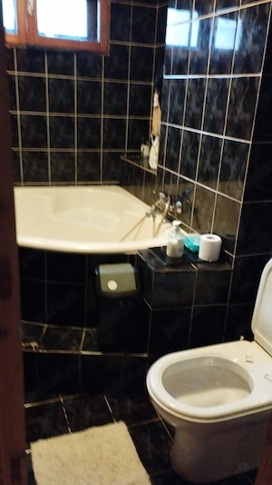 3 camere zona podul ros 