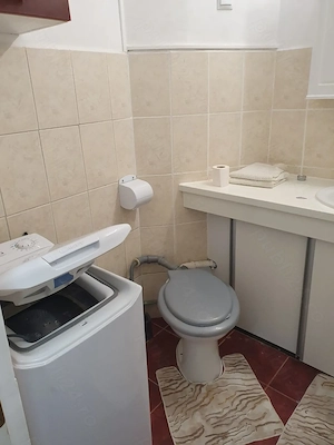 Închiriez apartament cu 2 camere în orașul Buziaș  - imagine 5