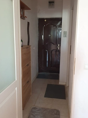 Închiriez apartament cu 2 camere în orașul Buziaș 