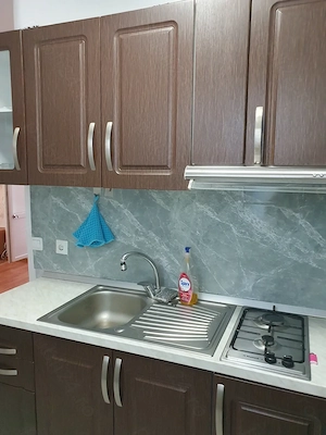 Închiriez apartament cu 2 camere în orașul Buziaș  - imagine 6