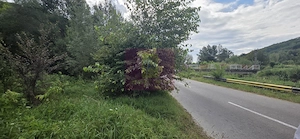 Teren de vanzare 600 mp in Telega