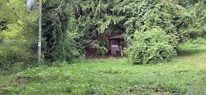 Teren de vanzare 15.000 mp in Telega - imagine 10