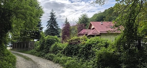 Teren de vanzare 15.000 mp in Telega - imagine 3
