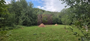Teren de vanzare 15.000 mp in Telega