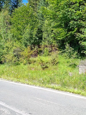 Teren de vânzare în zona Cota 1000 – Sinaia - imagine 9