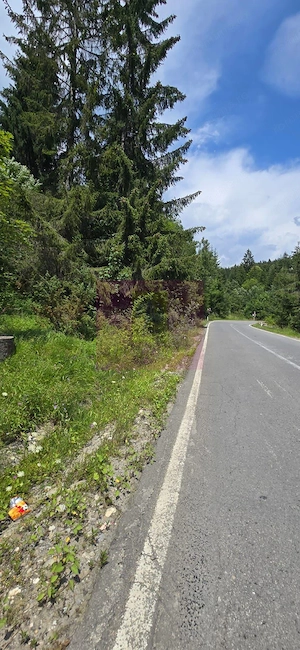 Teren de vânzare în zona Cota 1000 – Sinaia - imagine 6