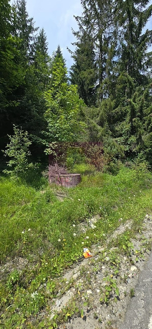 Teren de vânzare în zona Cota 1000 – Sinaia - imagine 4