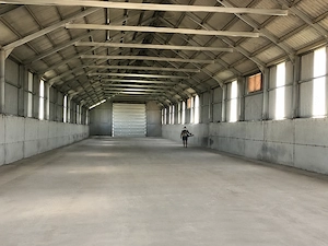 Teren 4,7 ha | Hală 770 mp | Cartojani, Giurgiu | Acces TIR - imagine 4