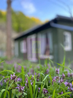 Refugiu in mijlocul naturii - imagine 13