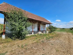 Casă de vânzare, cu teren de 2.901 mp, Unirea - imagine 2