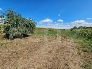Casă de vânzare, cu teren de 2.901 mp, Unirea - imagine 11