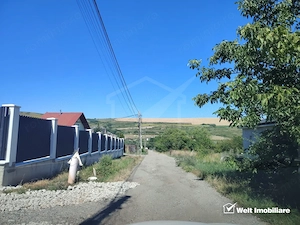Teren 500 mp la limita intravilanului – Valea Chintaului - imagine 3