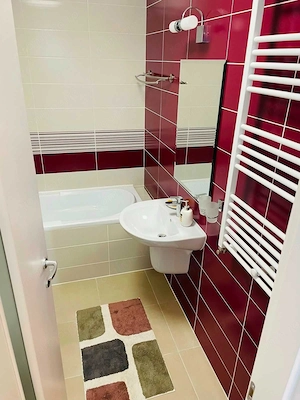 Studio de inchiriat etaj 1 Brasov 40 mp Coresi Top City parcare mobilt si utilat - imagine 8