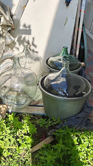 Damingeana 50 L