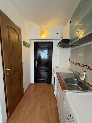 Apartament cu o camera, 15 mp, etaj 4/5 - Sagului - imagine 3