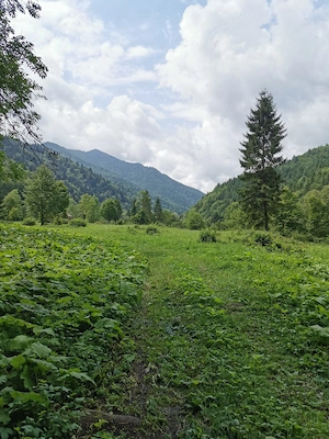 Vând teren intravilan 5.000 mp   Sat Brateș, Com. Tarcău, Jud. Neamț - imagine 2