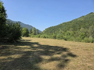 Vând teren intravilan 5.000 mp   Sat Brateș, Com. Tarcău, Jud. Neamț - imagine 6