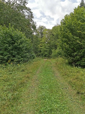 Vând teren intravilan 5.000 mp   Sat Brateș, Com. Tarcău, Jud. Neamț - imagine 3