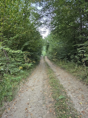 Vând teren intravilan 5.000 mp   Sat Brateș, Com. Tarcău, Jud. Neamț - imagine 8