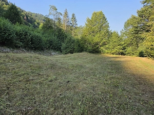 Vând teren intravilan 5.000 mp   Sat Brateș, Com. Tarcău, Jud. Neamț - imagine 5