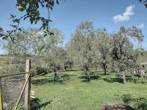 Chechiș, Sălaj-Casă de vanzar de 70 mp direct la drumul județean, cu 1.400 mp teren | Chechiș, Sălaj