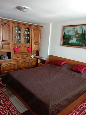 Casa de vanzare in sat Sârbi comuna Ilia jud Hunedoara - imagine 4