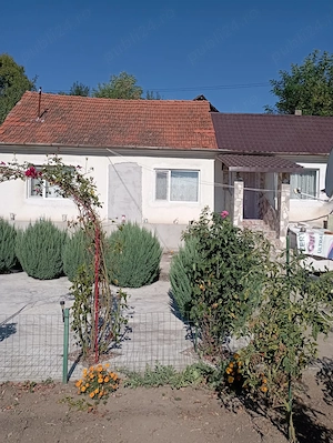 Casa de vanzare in sat Sârbi comuna Ilia jud Hunedoara - imagine 10