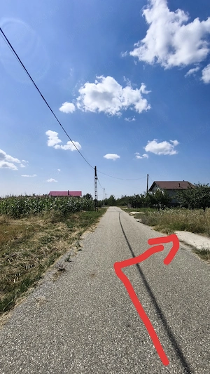 Livadă Tânără pe Rod + Teren Intravilan 9.177 mp la Asfalt   Ceretu (Dănicei) - imagine 5