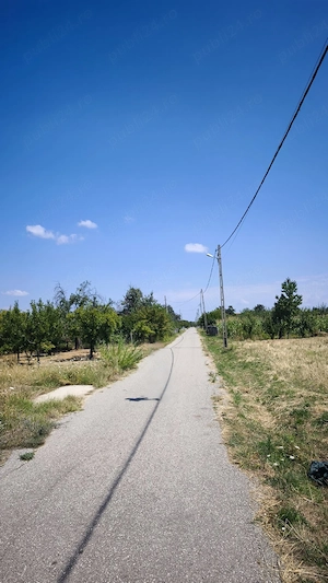 Livadă Tânără pe Rod + Teren Intravilan 9.177 mp la Asfalt   Ceretu (Dănicei) - imagine 6