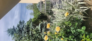 Direct proprietar - apartament cu gradina proprie, parcare privata si acces dublu in zona Dealuri - imagine 8