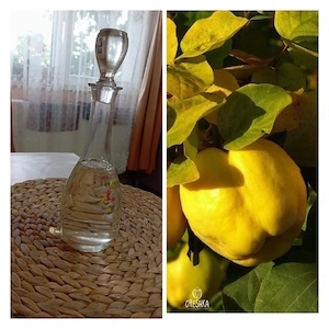 Palinca de Gutui