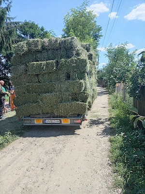 Baloți de lucerna