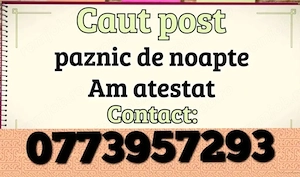 Prrsoana cu handicap ,port proteza la picior