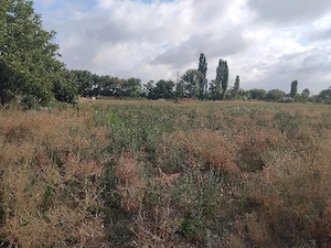Teren de inchiriat