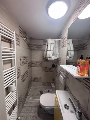 Apartament cu o camera, situat ultracentral, spre inchiriere - imagine 5