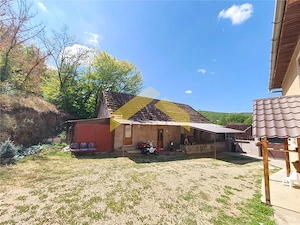 Casa de vanzare localitatea Cladova, judetul Arad - imagine 15