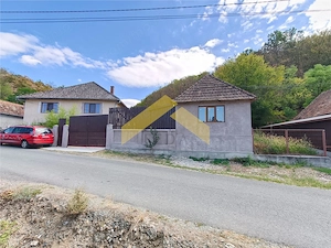 Casa de vanzare localitatea Cladova, judetul Arad - imagine 16