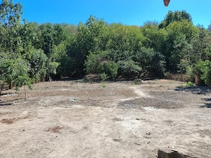 Casă mare lângă vale și pădure, Chisindia jud Arad  - imagine 4