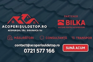 reparații acoperisuri