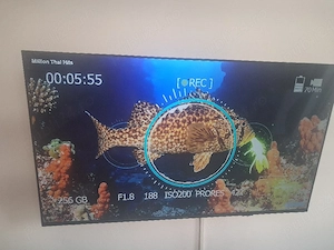 vand tv smart Philips 139 cm