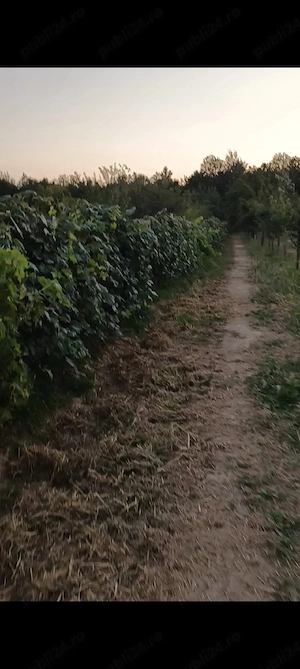 vand casa noua 110m la 30km de Pitești  - imagine 2