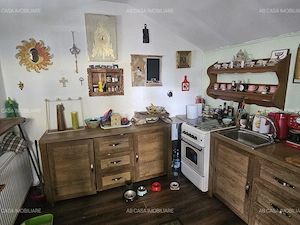 Casă individuală cu spațiu comercial, P+M, 2 apartamente, 3 terase, Timișoara, Lipovei, comision 0% - imagine 15