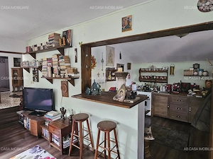 Casă individuală cu spațiu comercial, P+M, 2 apartamente, 3 terase, Timișoara, Lipovei, comision 0% - imagine 12