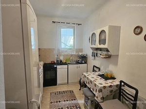 Casă individuală cu spațiu comercial, P+M, 2 apartamente, 3 terase, Timișoara, Lipovei, comision 0% - imagine 7