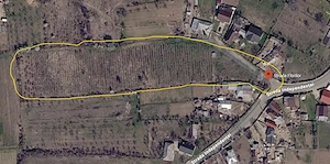 Teren mixt (intravilan+extravilan agricol, vita de vie) Cotesti Vrancea 15EUR   mp - imagine 2